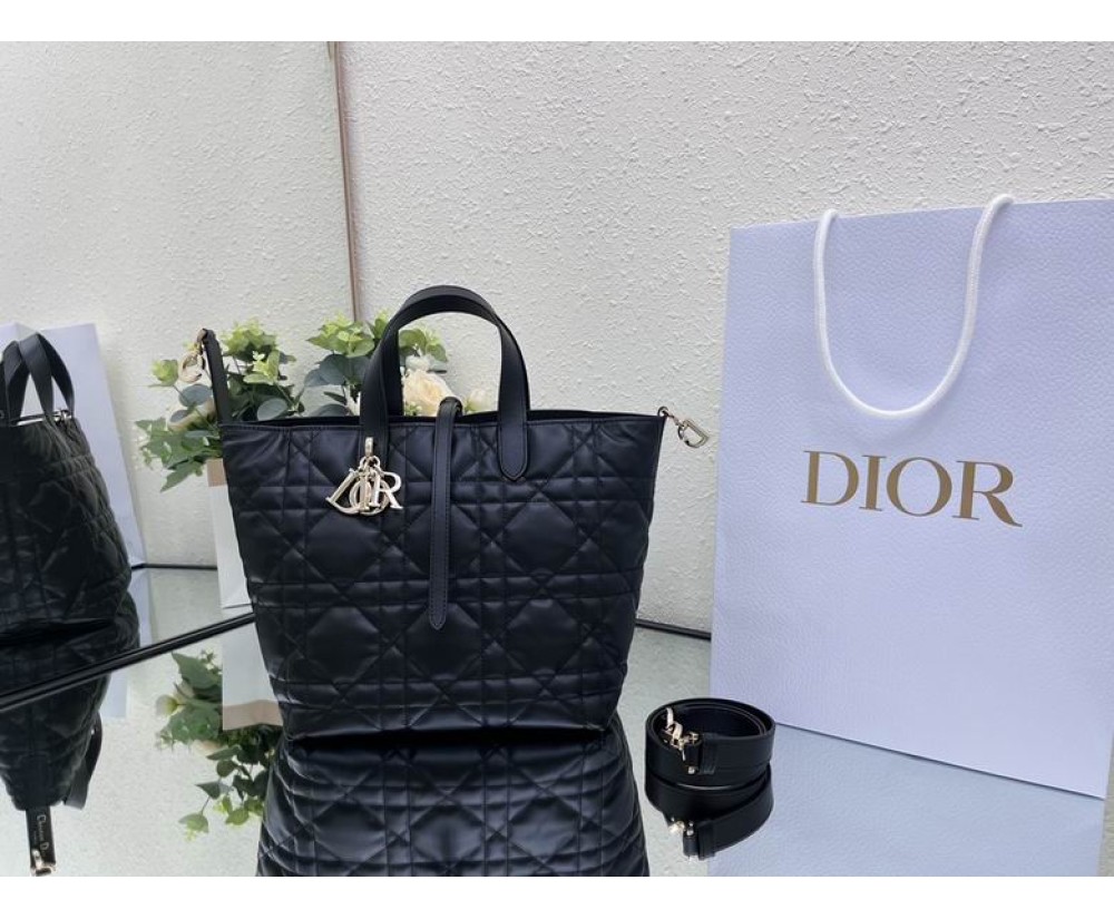 2024 Dior Toujours 031901 Series (4)