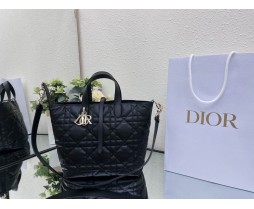2024 Dior Toujours 031901 Series (4)
