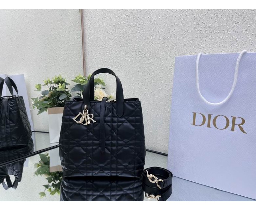 2024 Dior Toujours 031901 Series (4)