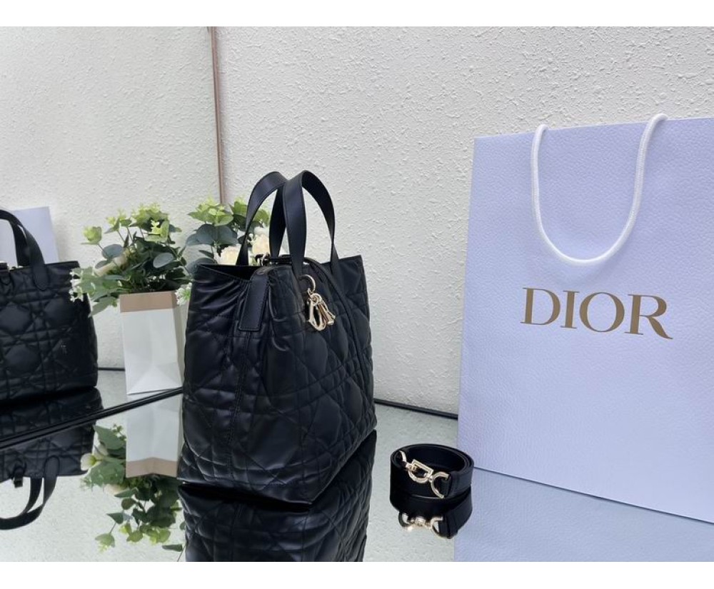 2024 Dior Toujours 031901 Series (4)