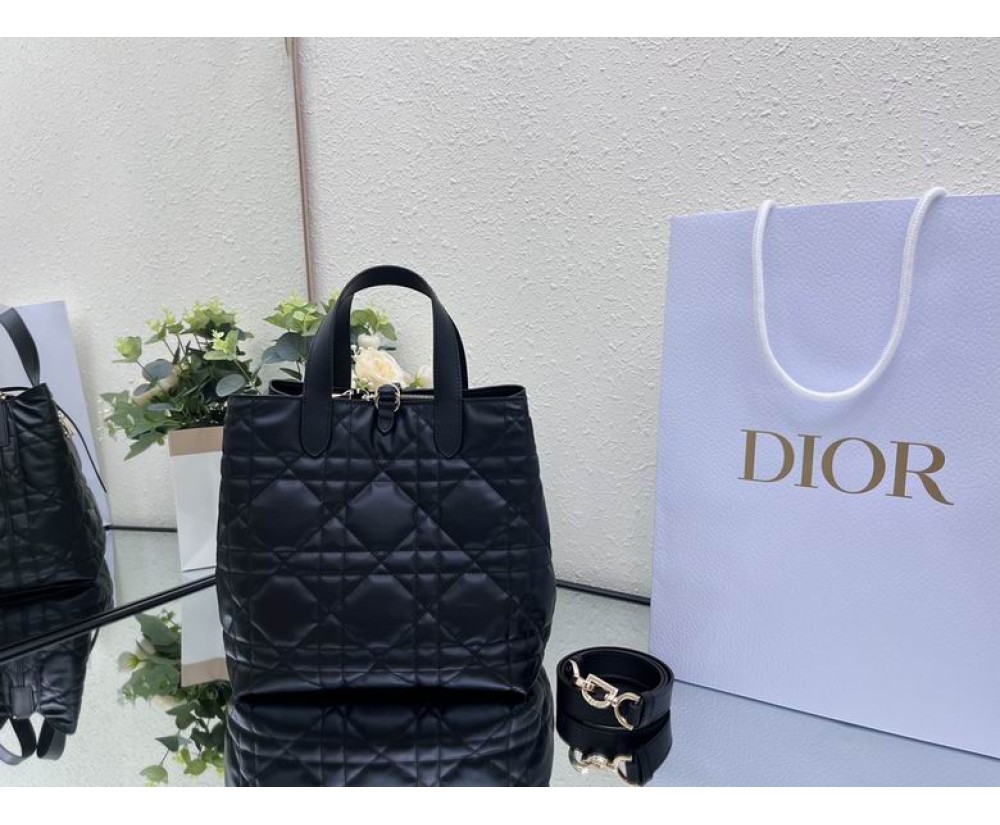 2024 Dior Toujours 031901 Series (4)