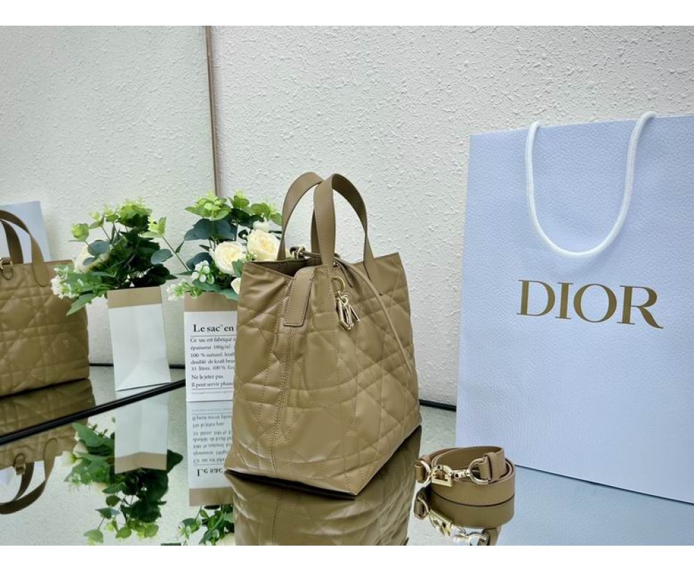 2024 Dior Toujours 031901 Series (5)