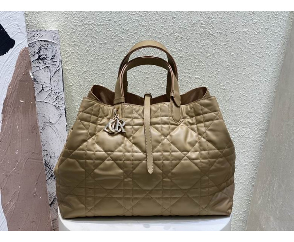 2024 Dior Toujours 2820 Series (2)