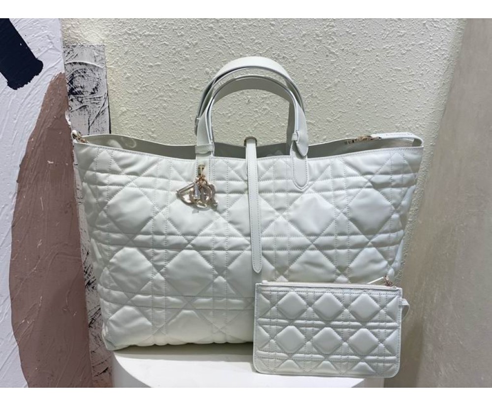 2024 Dior Toujours 2820 Series (3)