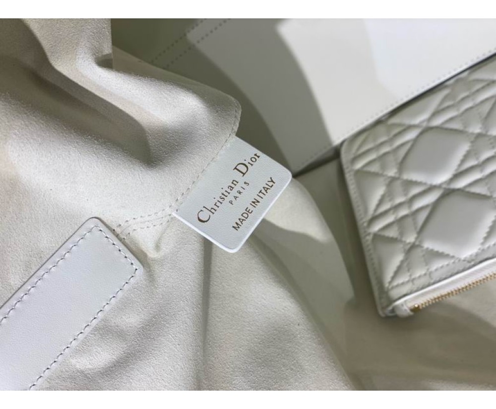 2024 Dior Toujours 2820 Series (3)