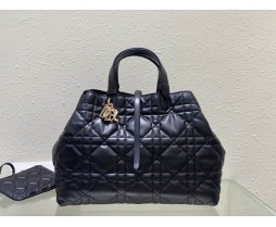 2024 Dior Toujours 2820 Series (6)