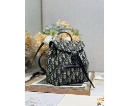Dior D006 (1)
