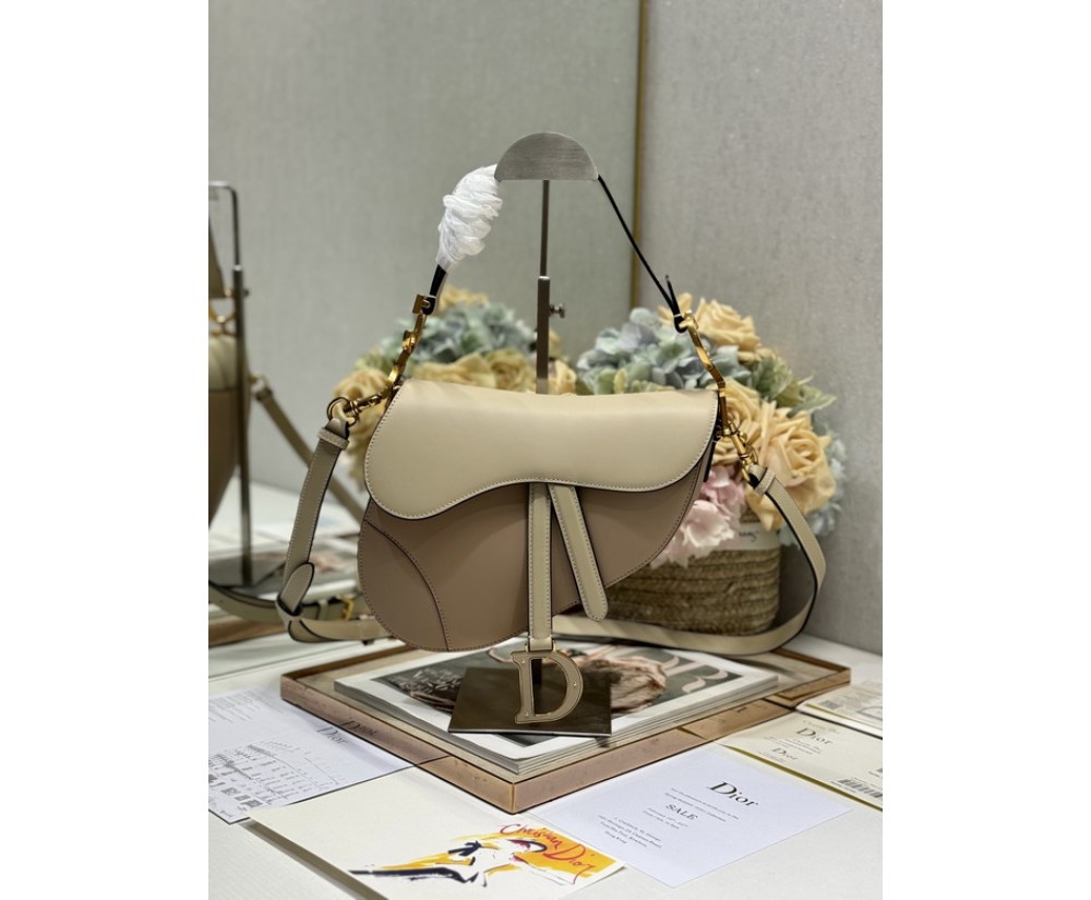 Dior Saddle 3351 (1)