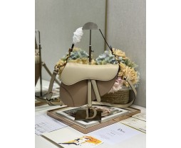 Dior Saddle 3351 (1)
