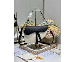 Dior Saddle 3351 (2)