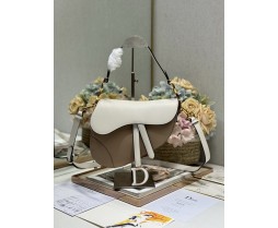 Dior Saddle 3351 (3)