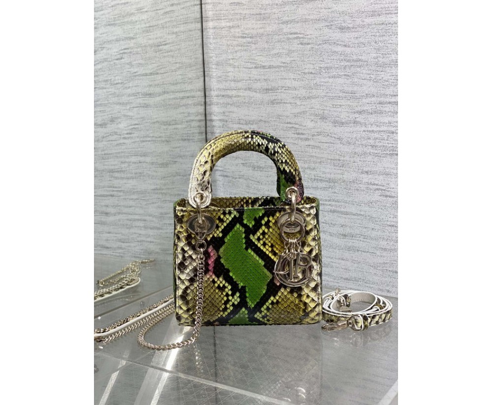 Dior Lady 17CM Series Please leave your message about the colorways you want