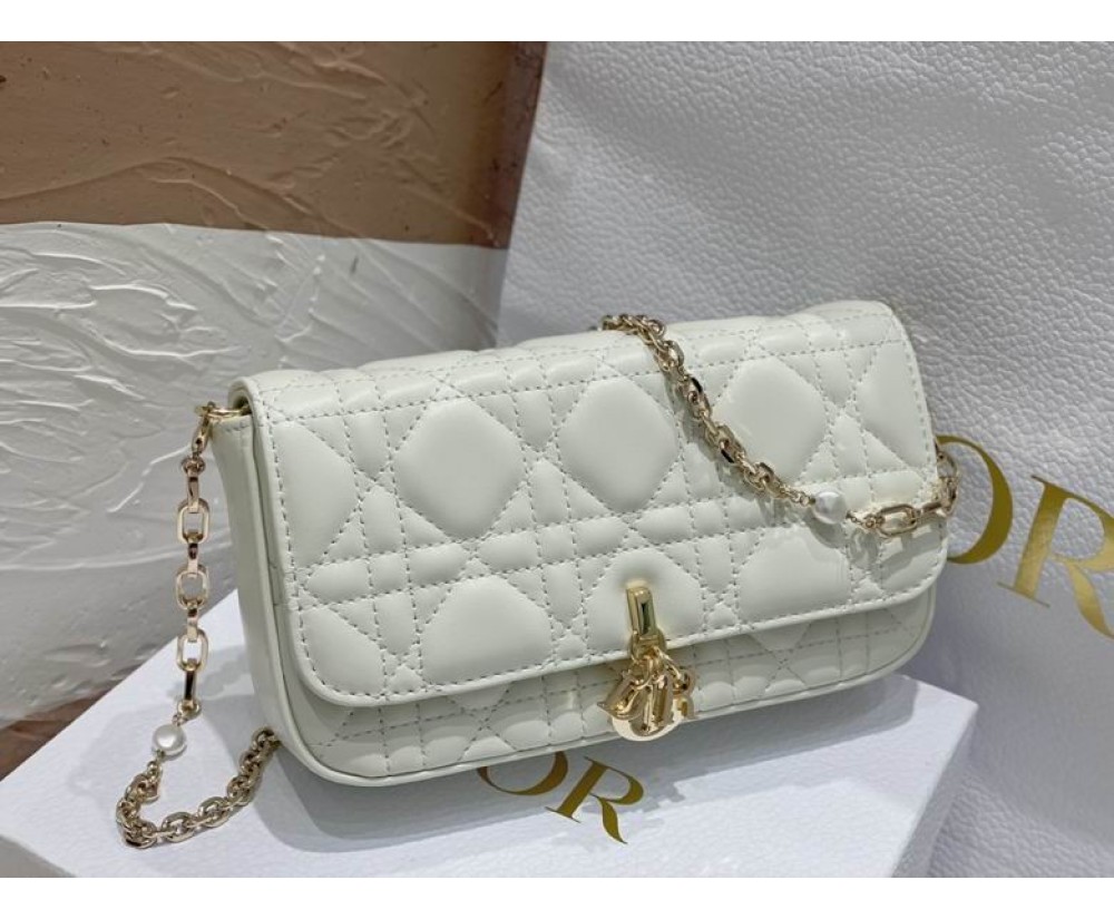Dior Lady 0977 please leave your message and tell us which colorways do you want to order