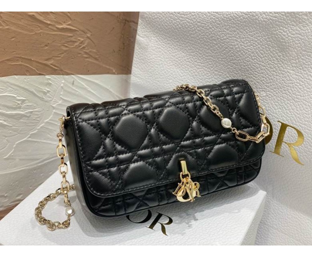 Dior Lady 0977 please leave your message and tell us which colorways do you want to order